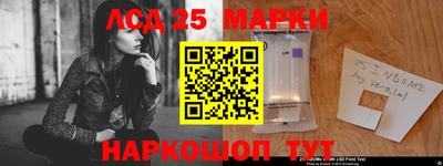 гидропоника Чебоксары